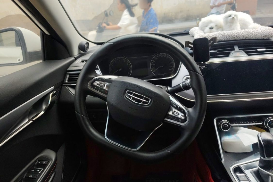 GEELY Binray 2020 #22 GEELY Binray 2020 car image #22