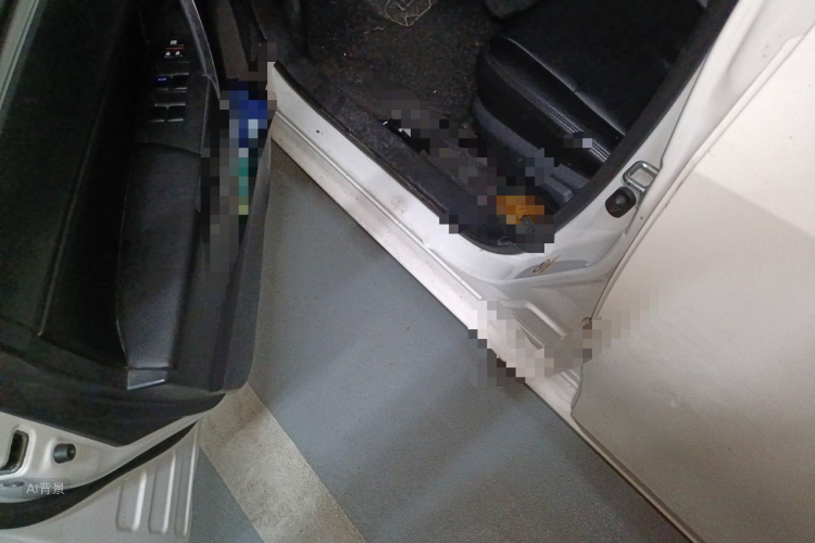 Toyota Corolla 2019 immagine di auto #18