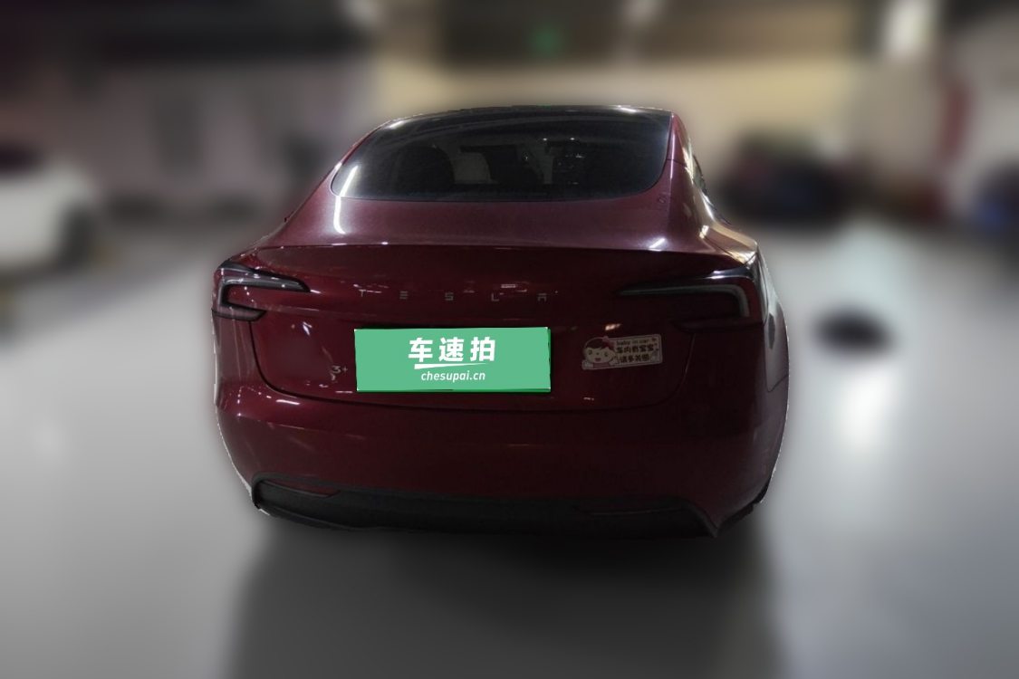 Tesla Model 3 2024 car image #6