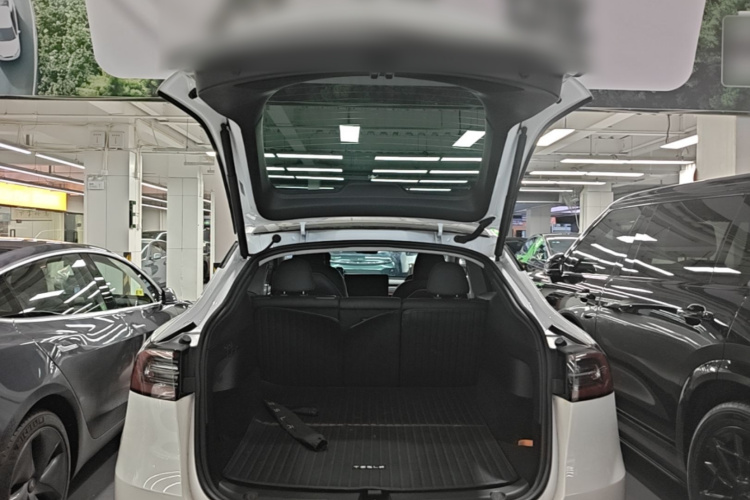 Tesla Model Y 2023 #19 Tesla Model Y 2023 car image #19