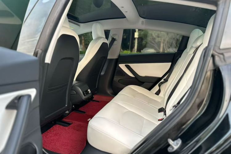 Tesla Model 3 2020 #17 Tesla Model 3 2020 car image #17
