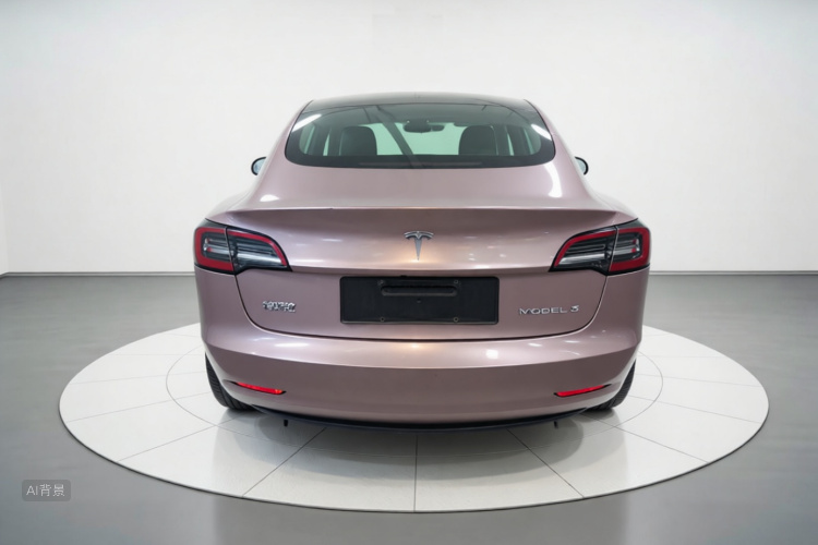 Tesla Model 3 2021 car image #6
