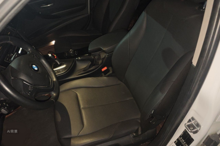 BMW 3 Series 2017 car image #17