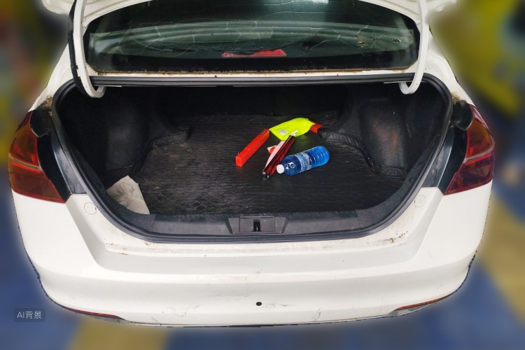 GEELY Emgrand 2021 immagine di auto #21