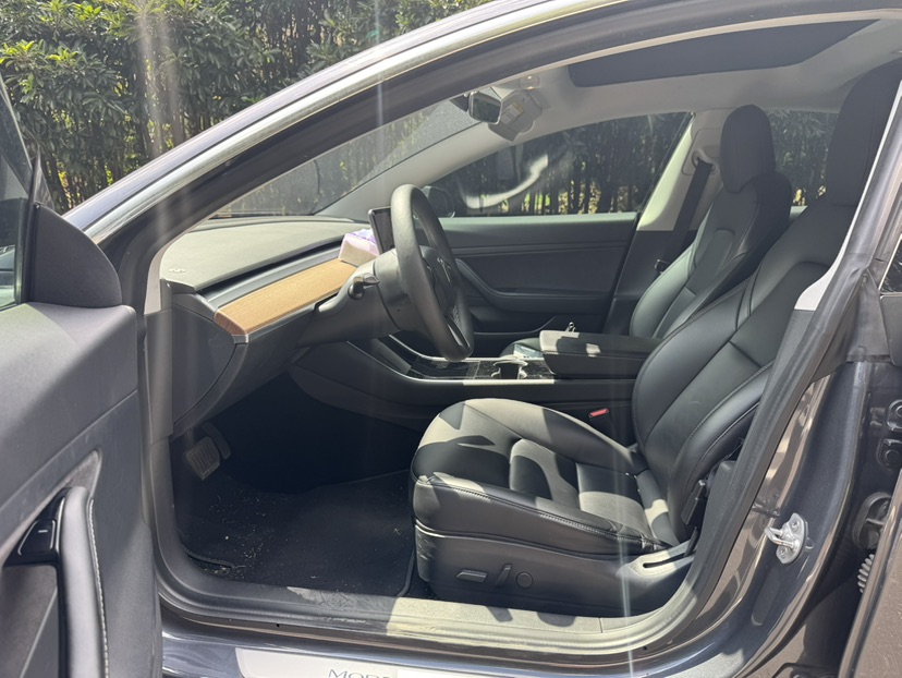 Tesla Model 3 2020 #4 Tesla Model 3 2020 car image #4