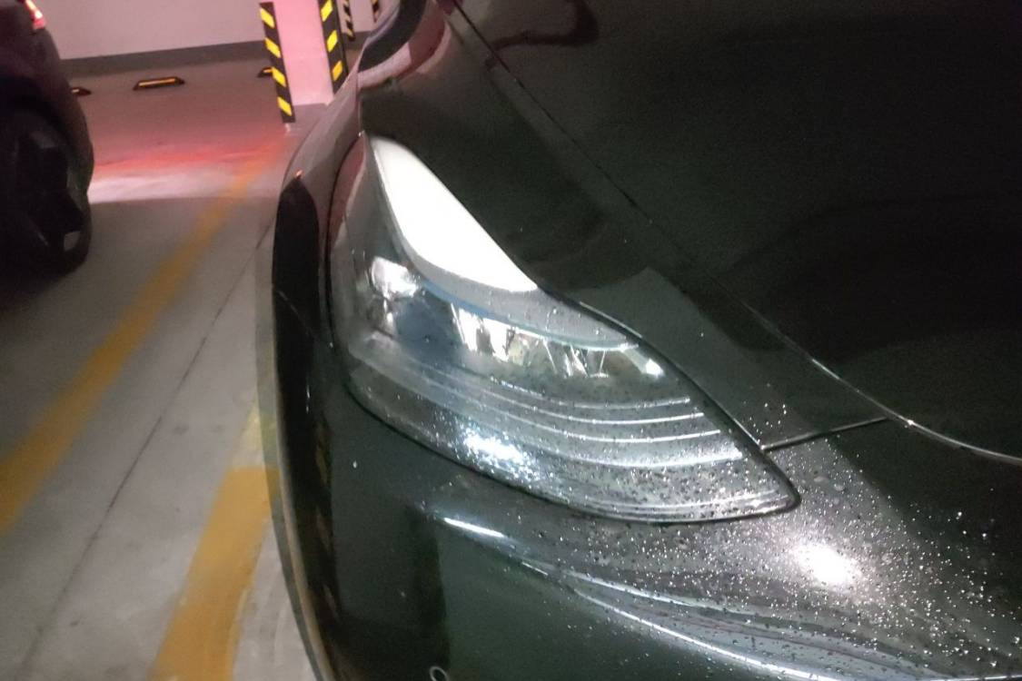 Tesla Model Y 2023 #7 Tesla Model Y 2023 car image #7