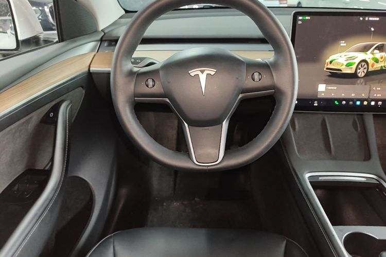 Tesla Model Y 2022 #11 Tesla Model Y 2022 car image #11