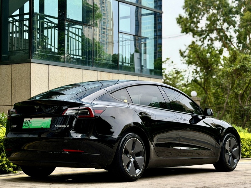 Tesla Model 3 2023 car image #6