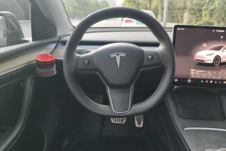 Tesla Model Y 2023 car image #13