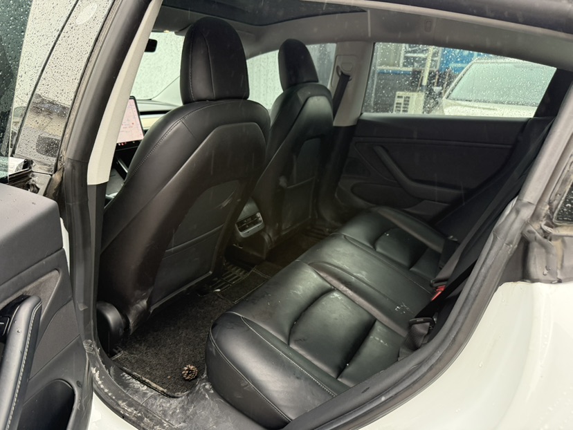 Tesla Model 3 (Imported) 2019 car image #6