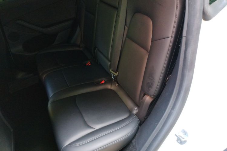 Tesla Model Y 2024 car image #14