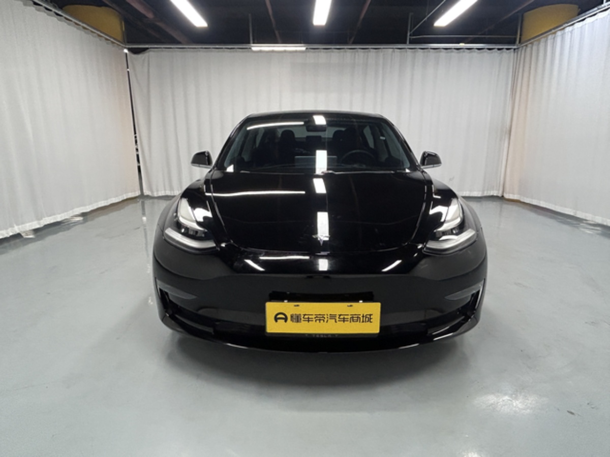 Tesla Model 3 2020 #2 Tesla Model 3 2020 car image #2