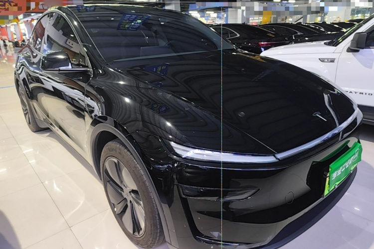Tesla Model Y 2025 immagine di auto #6