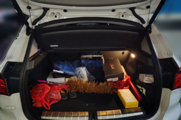 BMW X1 2017 car image #21