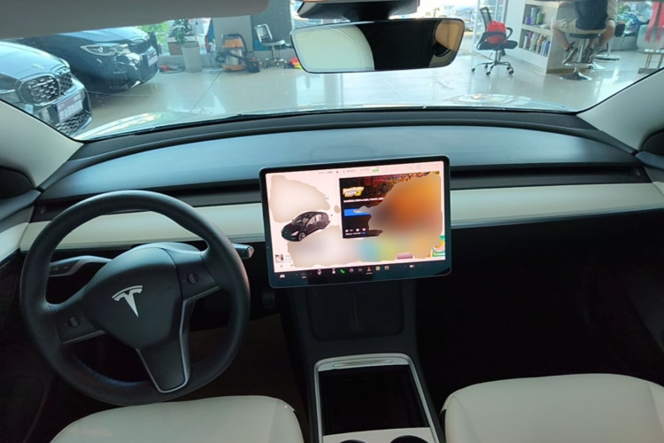 Tesla Model 3 2021 #11 Tesla Model 3 2021 car image #11