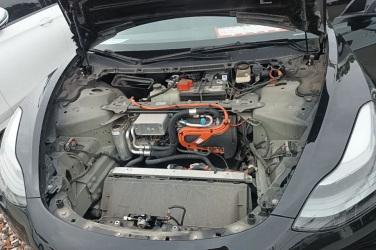 Tesla Model 3 2021 #22 Tesla Model 3 2021 car image #22