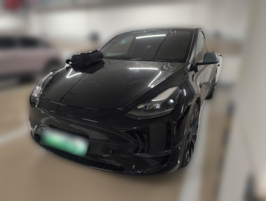 Tesla Model Y 2021 Tesla Model Y 2021 car image