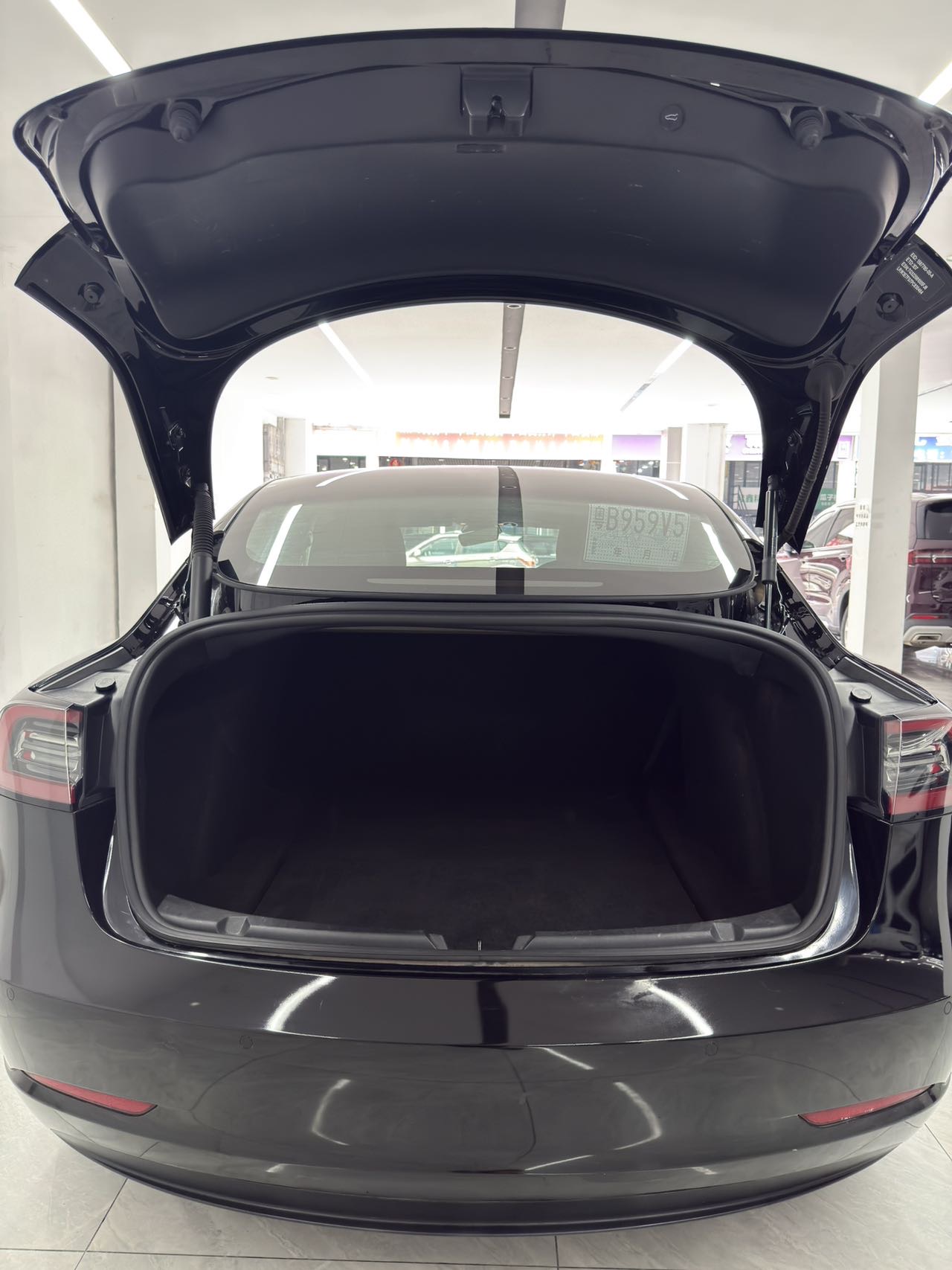 Tesla Model 3 2023 car image #12