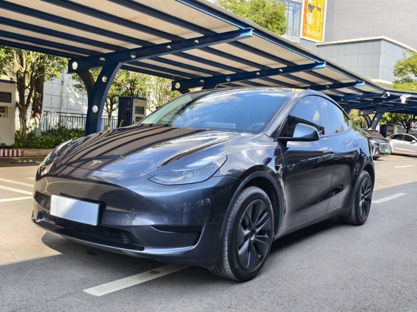 Tesla Model Y 2024 Tesla Model Y 2024 car image