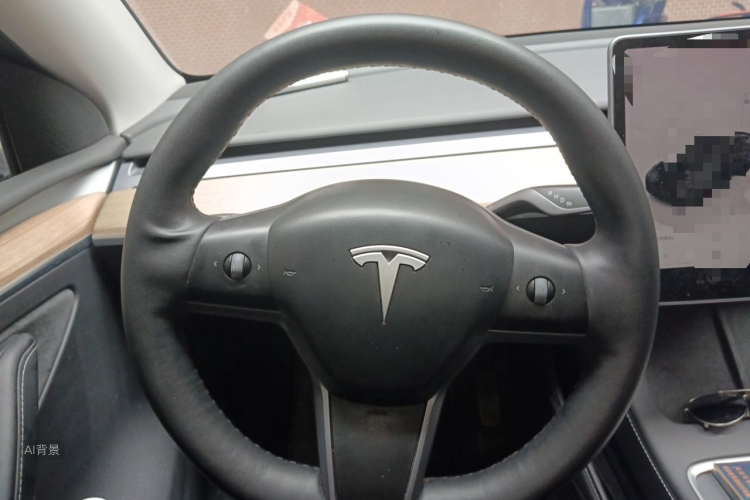 Tesla Model Y 2023 car image #12
