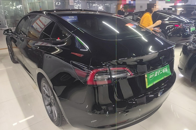 Tesla Model 3 2021 immagine di auto #5
