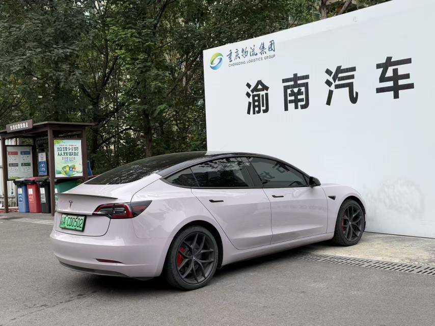 Tesla Model 3 2021 imagem de carro #11