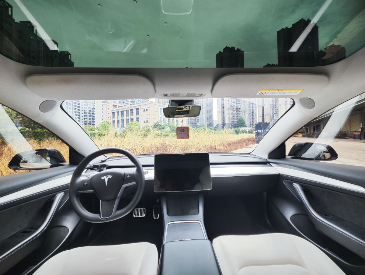 Tesla Model 3 2021 car image #5