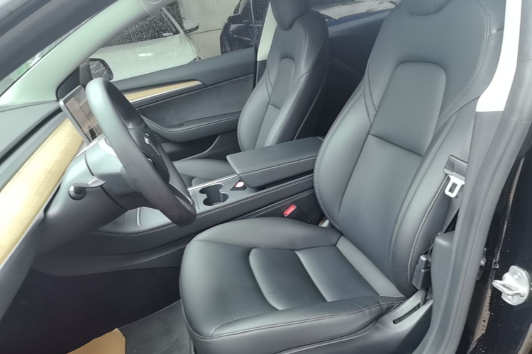 Tesla Model 3 2021 immagine di auto #15