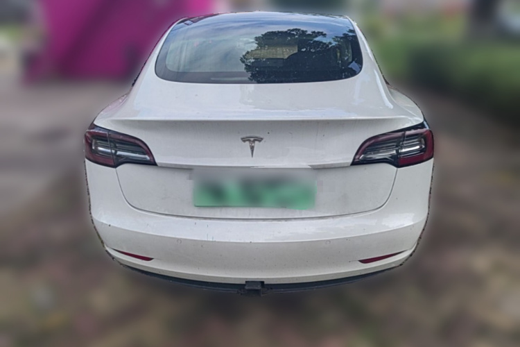 Tesla Model 3 2019 #6 Tesla Model 3 2019 car image #6