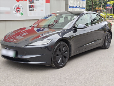 Tesla Model 3 2024 Tesla Model 3 2024 car image