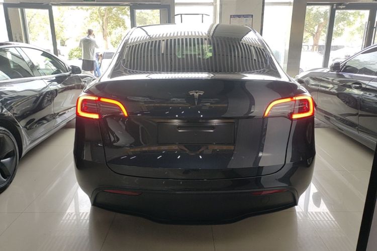 Tesla Model Y 2024 #6 Tesla Model Y 2024 car image #6