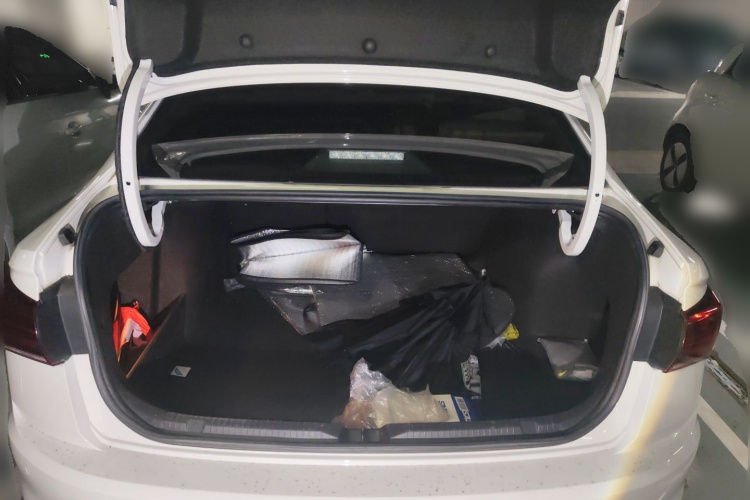 Volkswagen Bora 2020 car image #21
