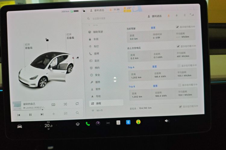 Tesla Model Y 2021 car image #13