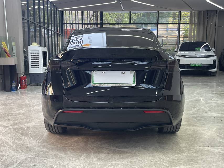 Tesla Model Y 2021 car image #6