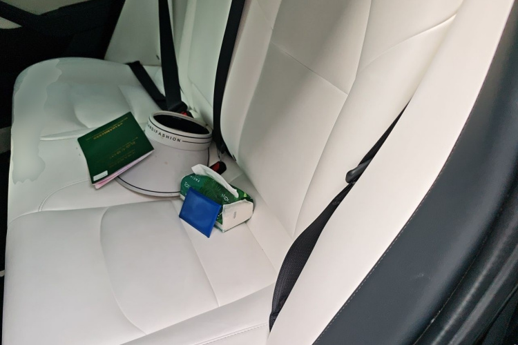 Tesla Model 3 2020 #10 Tesla Model 3 2020 immagine di auto #10