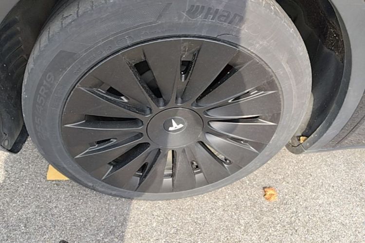Tesla Model Y 2022 immagine di auto #9