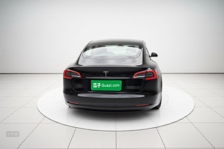 Tesla Model 3 2022 car image #6