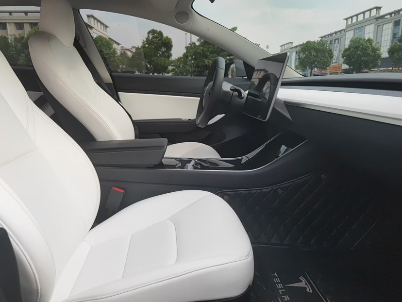 Tesla Model 3 2020 car image #4