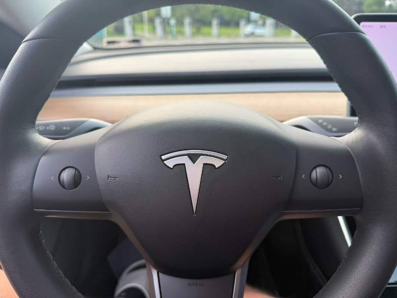 Tesla Model 3 2020 car image #9