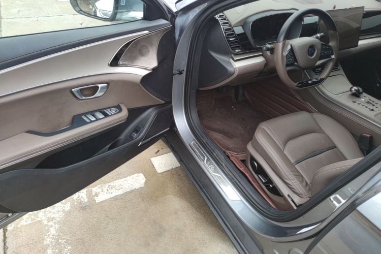 BYD Han 2022 #16 BYD Han 2022 immagine di auto #16