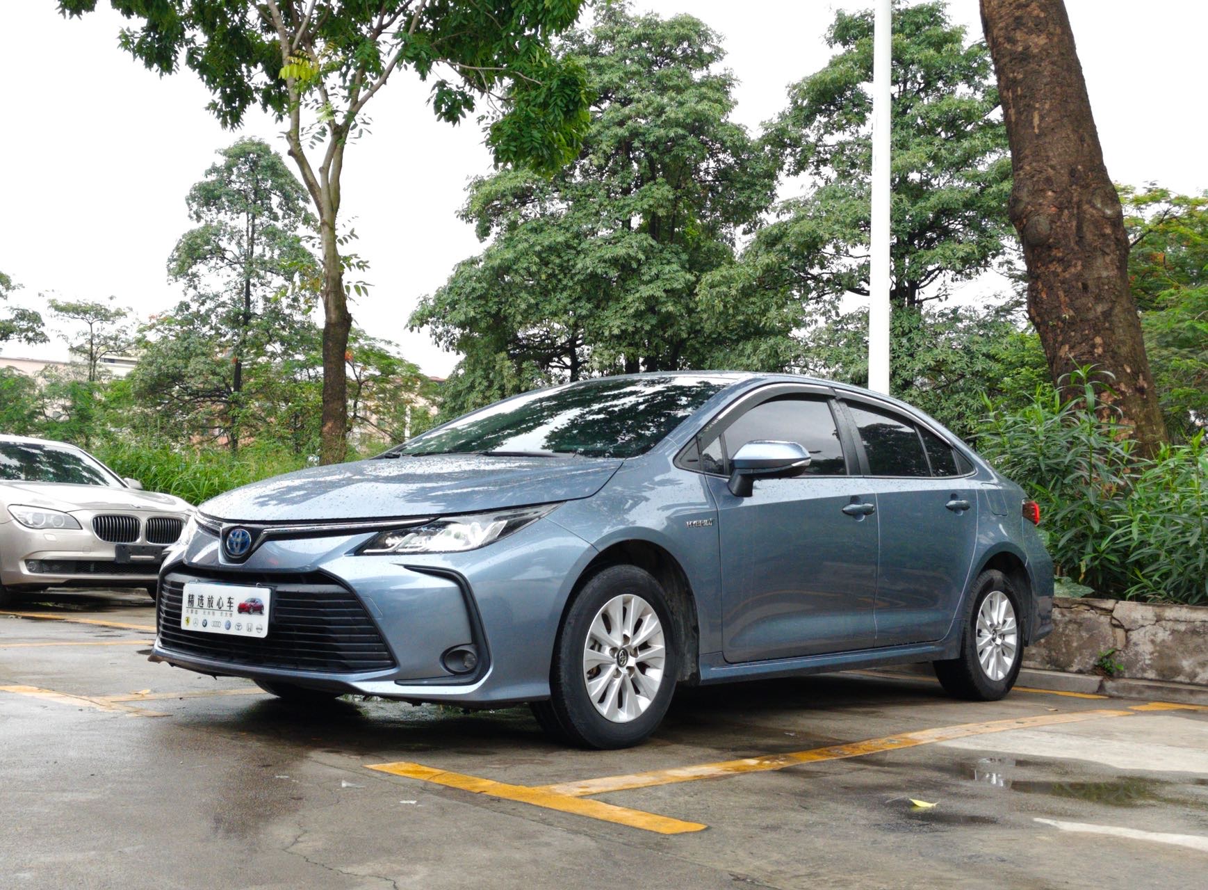 Toyota Corolla 2022 Toyota Corolla 2022 car image