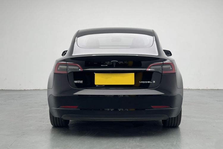 Tesla Model 3 2021 car image #5