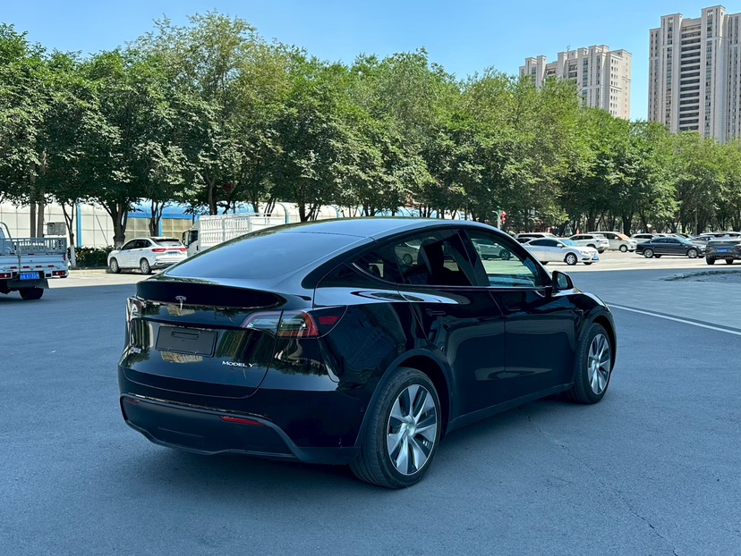 Tesla Model Y 2021 car image #8