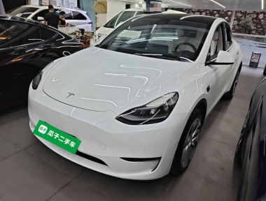 Tesla Model Y 2021 Tesla Model Y 2021 car image