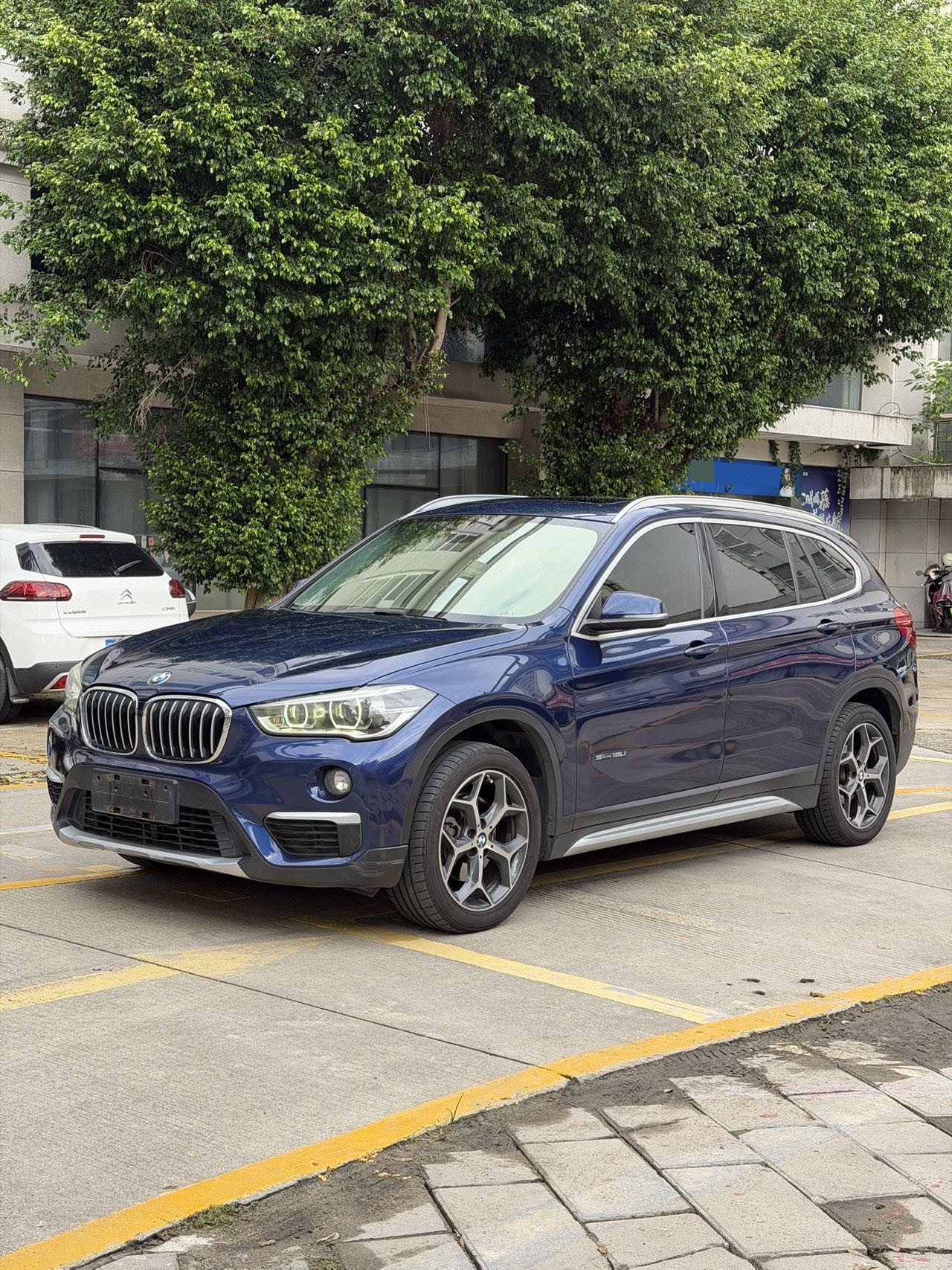 BMW X1 2017 car image 