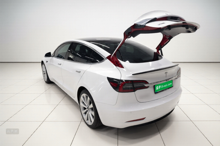 Tesla Model 3 2020 car image #5
