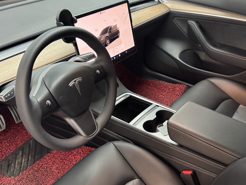 Tesla Model 3 2022 #3 Tesla Model 3 2022 car image #3