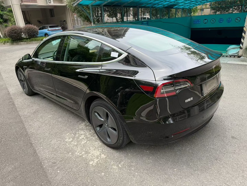 Tesla Model 3 2020 car image #4