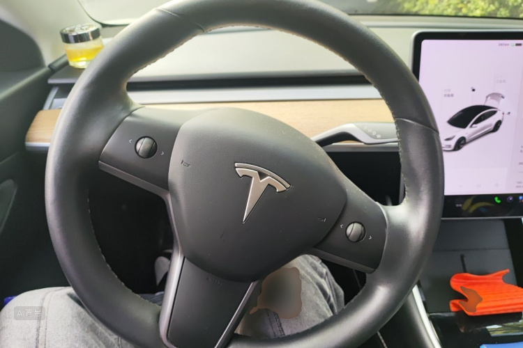 Tesla Model 3 2020 immagine di auto #12