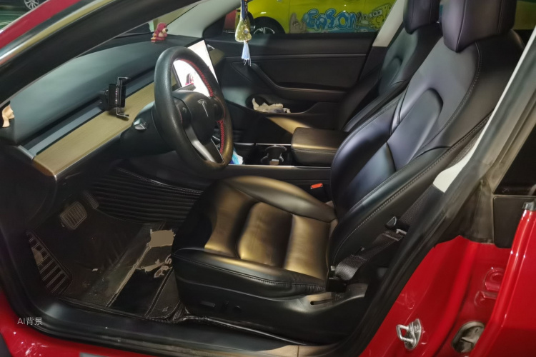 Tesla Model 3 2020 car image #17